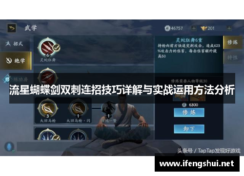 流星蝴蝶剑双刺连招技巧详解与实战运用方法分析